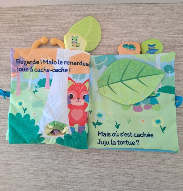 118-2 (2) Livre toudoux des baby loulous - 6/36m